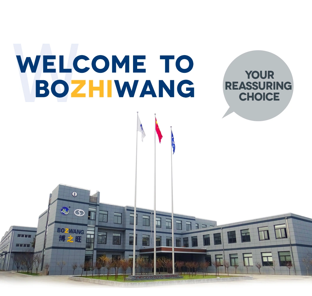 Bozwang F13 Automatic Wire Feeder