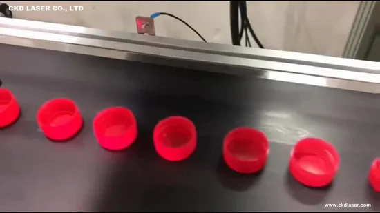 Machine Date Coding Datalogic Laser Marking 